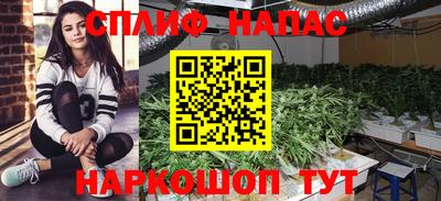 Альфа ПВП Тверь