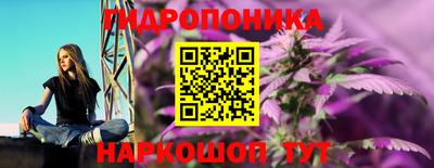 твердый Тара