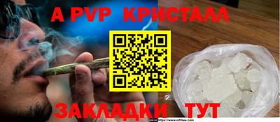 твердый Тара