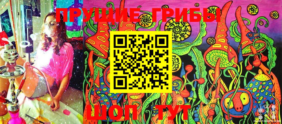 Острогожск  Псилоцибиновые грибы Psilocybe  Вход с VPN 